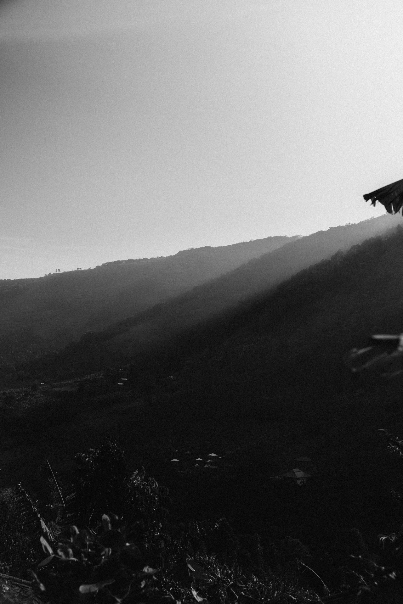Steep ridges and mist-filled valleys of the Bwindi landscape