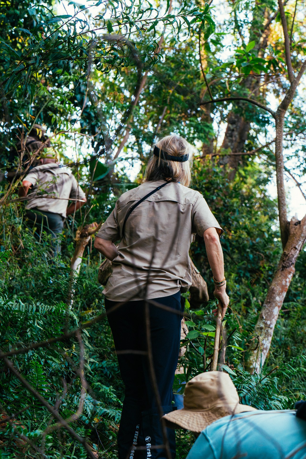 Through Bwindi forest on the trail of gorillas