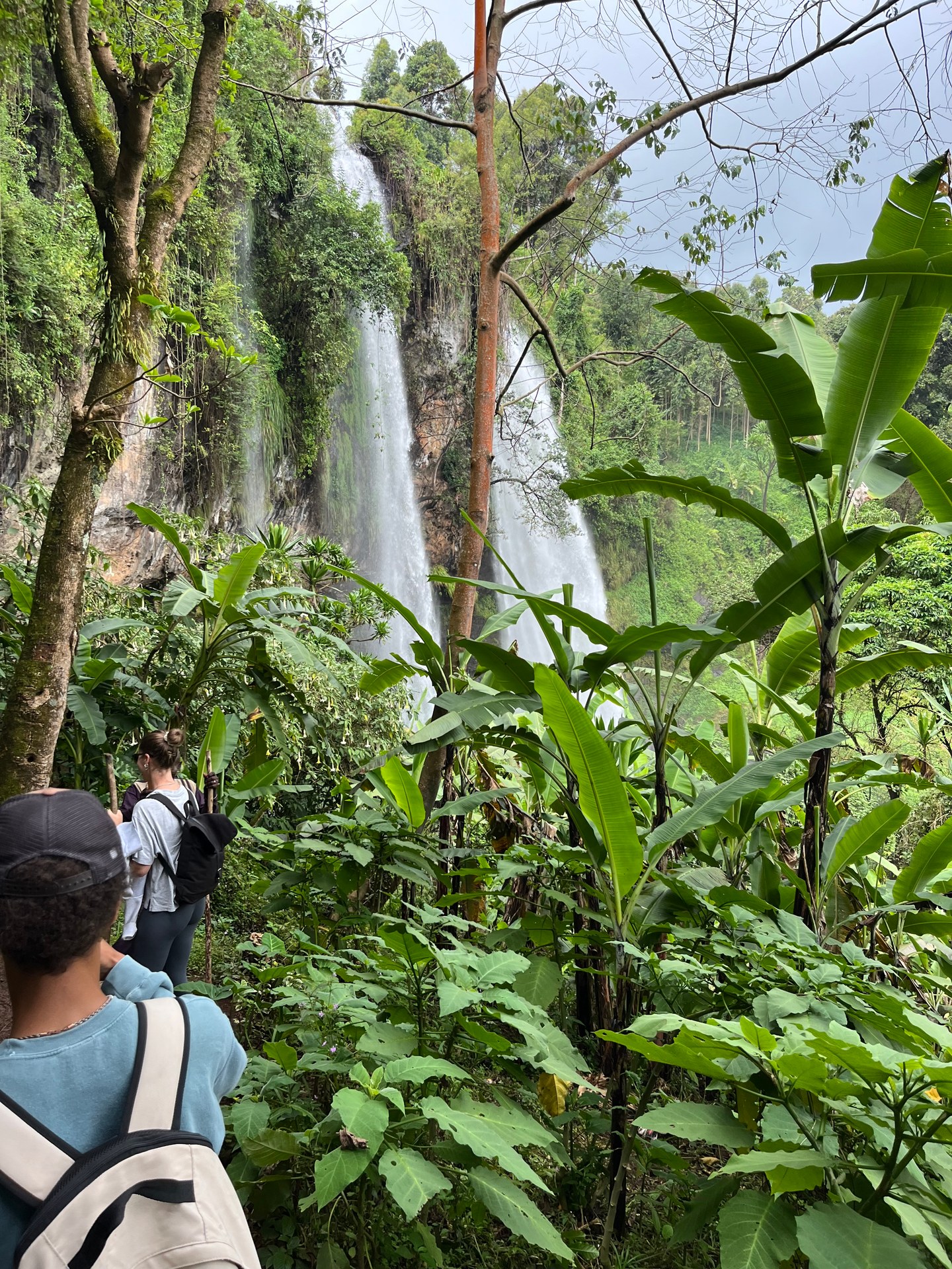 Sipi Falls through the jungle