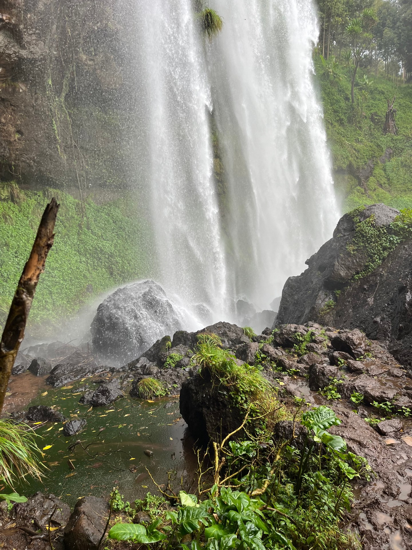 Sipi Falls at Mount Elgon, the power of water
