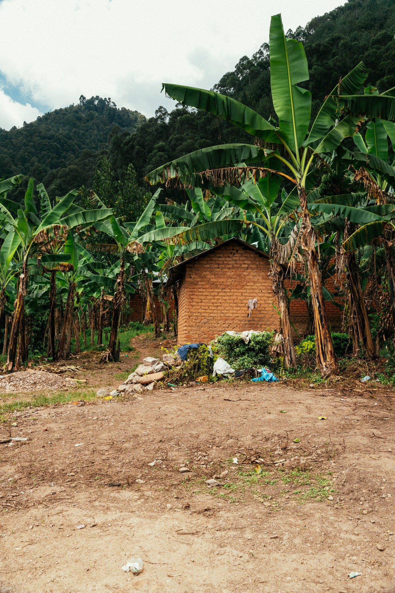 Brick house in the banana grove, Buhoma orphanage