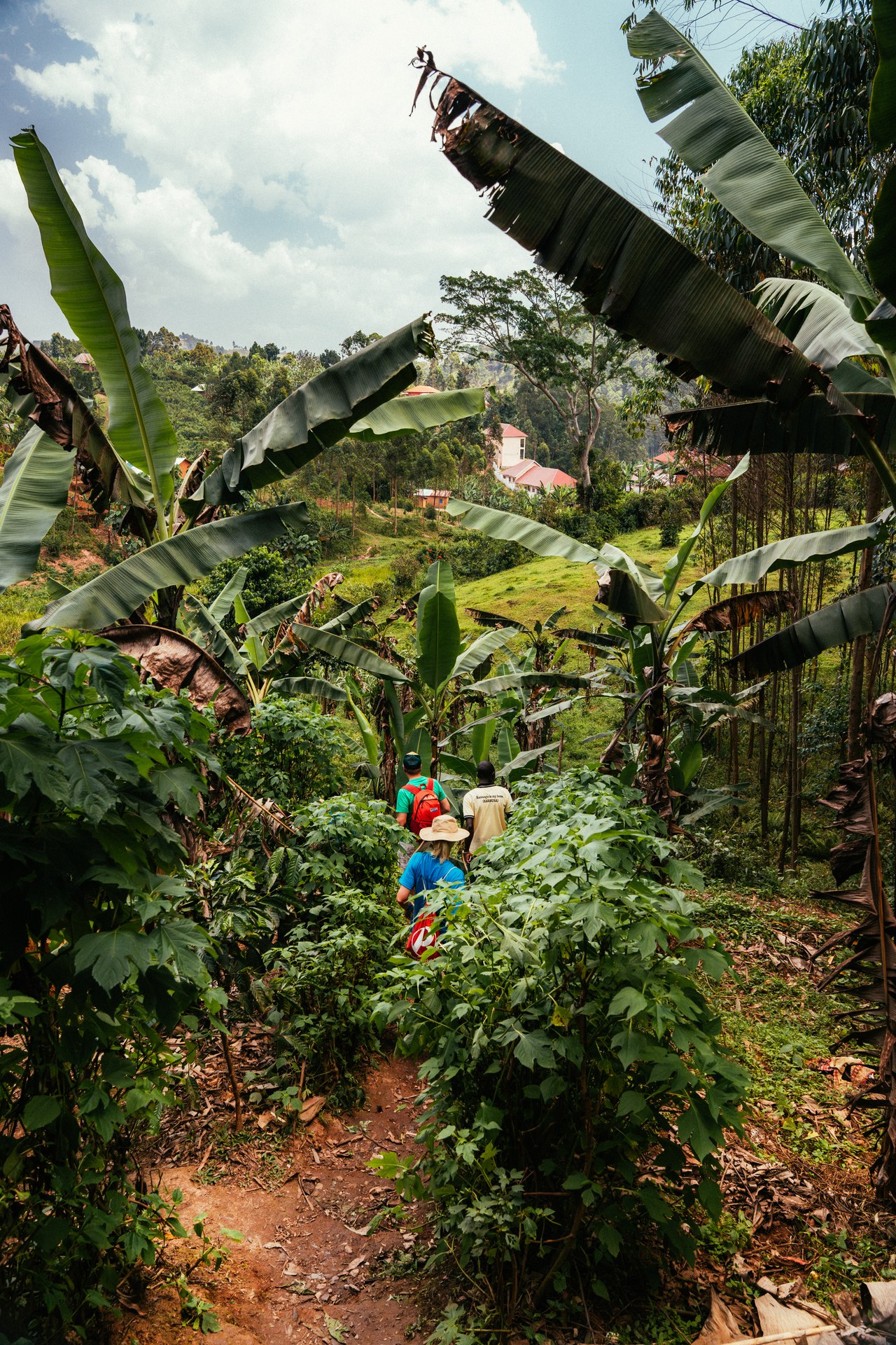 Through the jungle, path to Buhoma orphanage