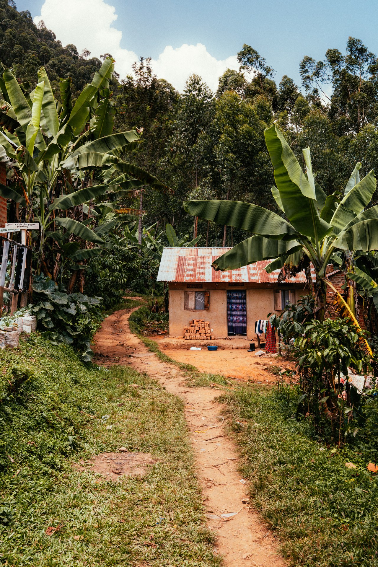 Mud house in Buhoma, home at the edge of the forest