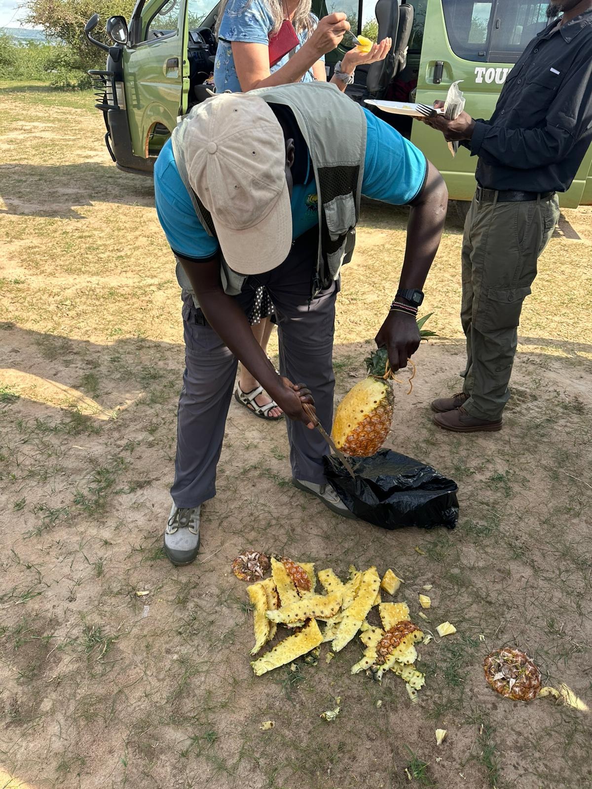 Fresh pineapples by the roadside in Murchison Falls Park