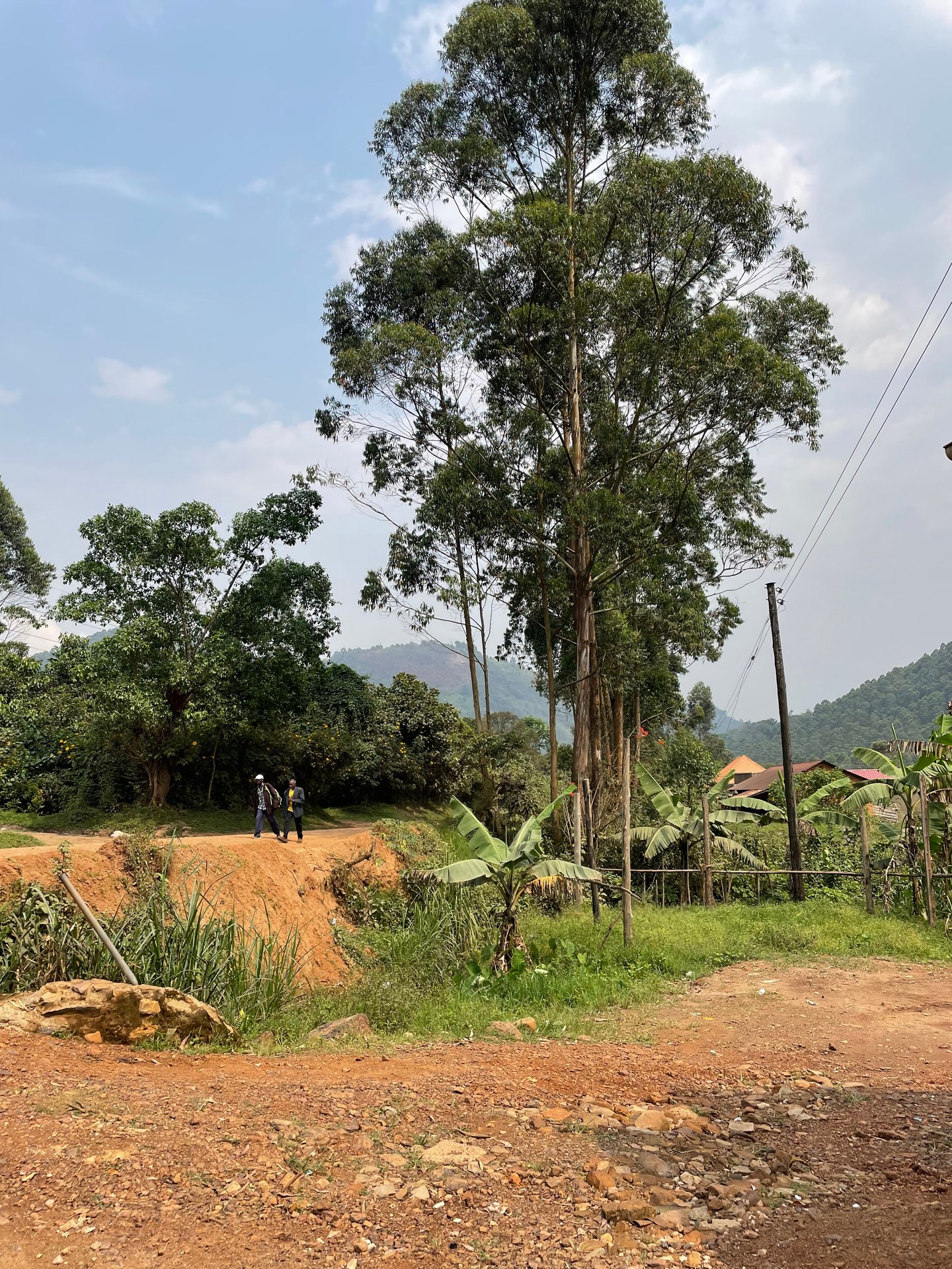 Batwa Organisations