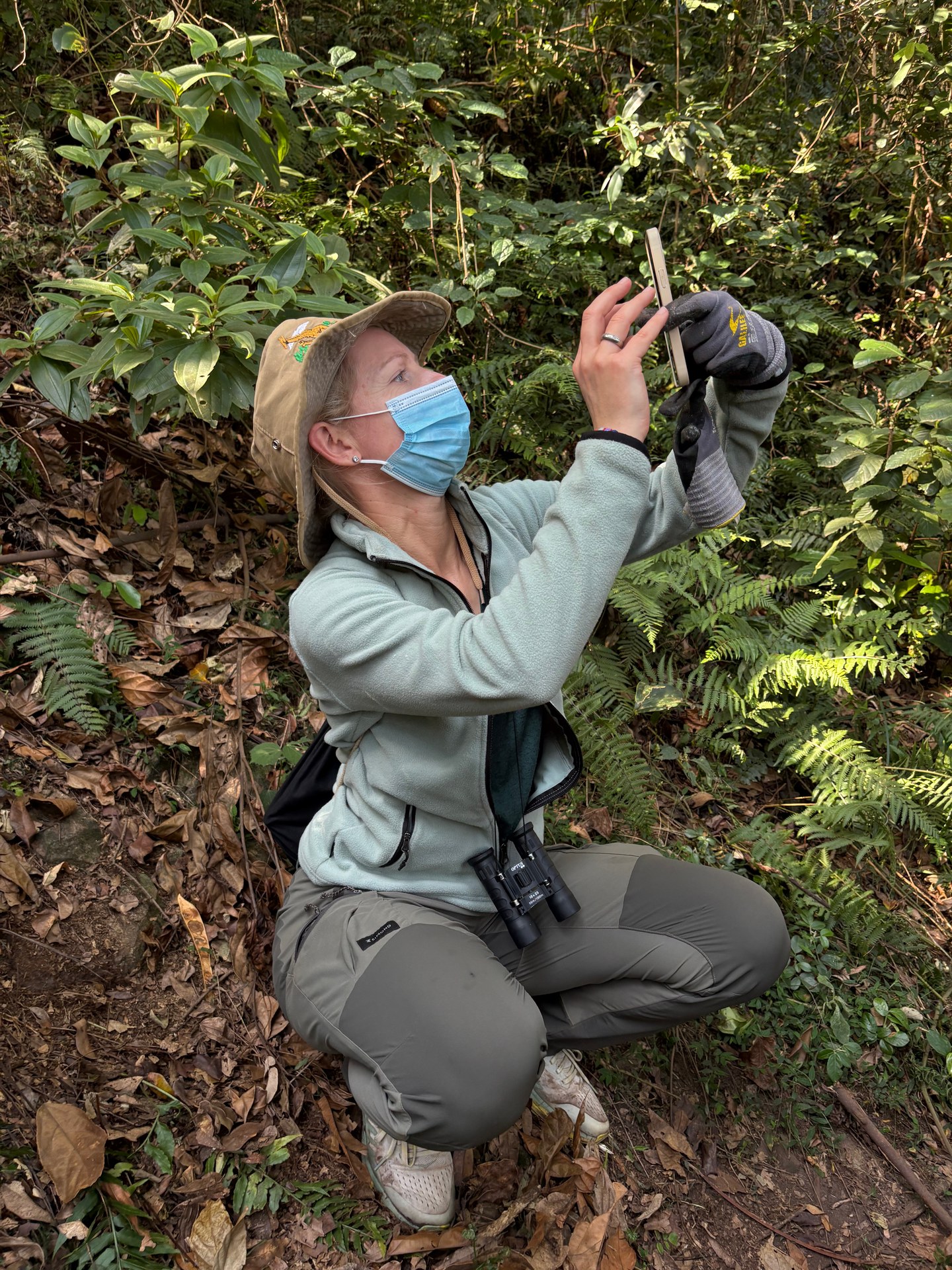 Visitor photographing a mountain gorilla in Bwindi, wearing a mandatory surgical mask