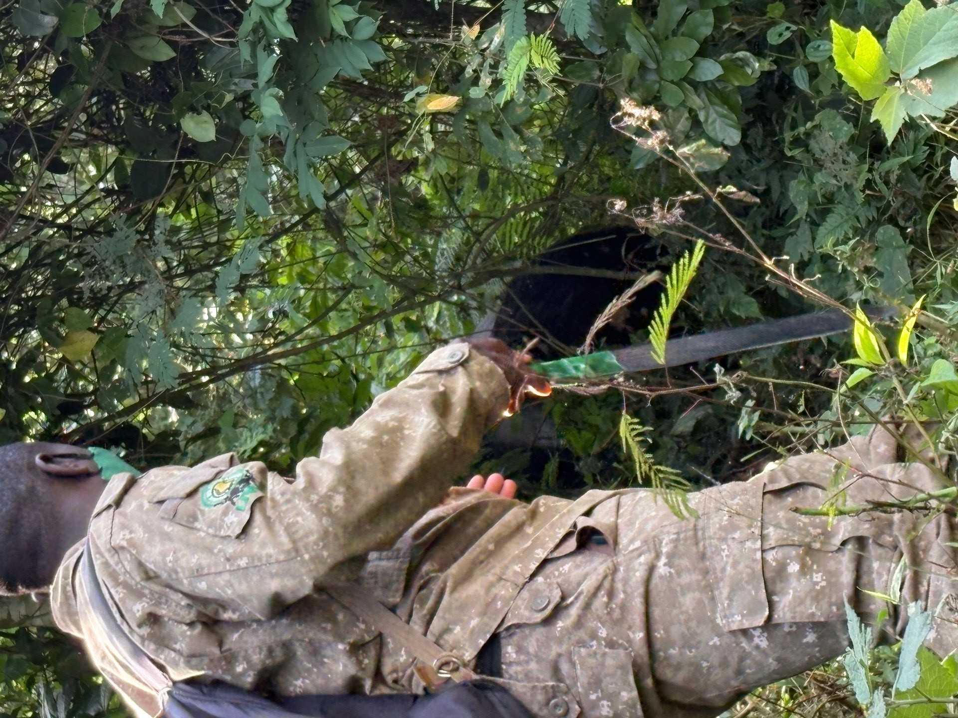 Armed UWA ranger cutting through dense undergrowth during gorilla trekking in Bwindi Impenetrable National Park, Uganda. Photo: Mark Suer, January 2026. GPS: -0.9762°N, 29.6282°E.