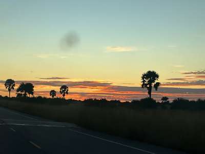 Sonnenaufgang über der Savanne im Murchison Falls Park