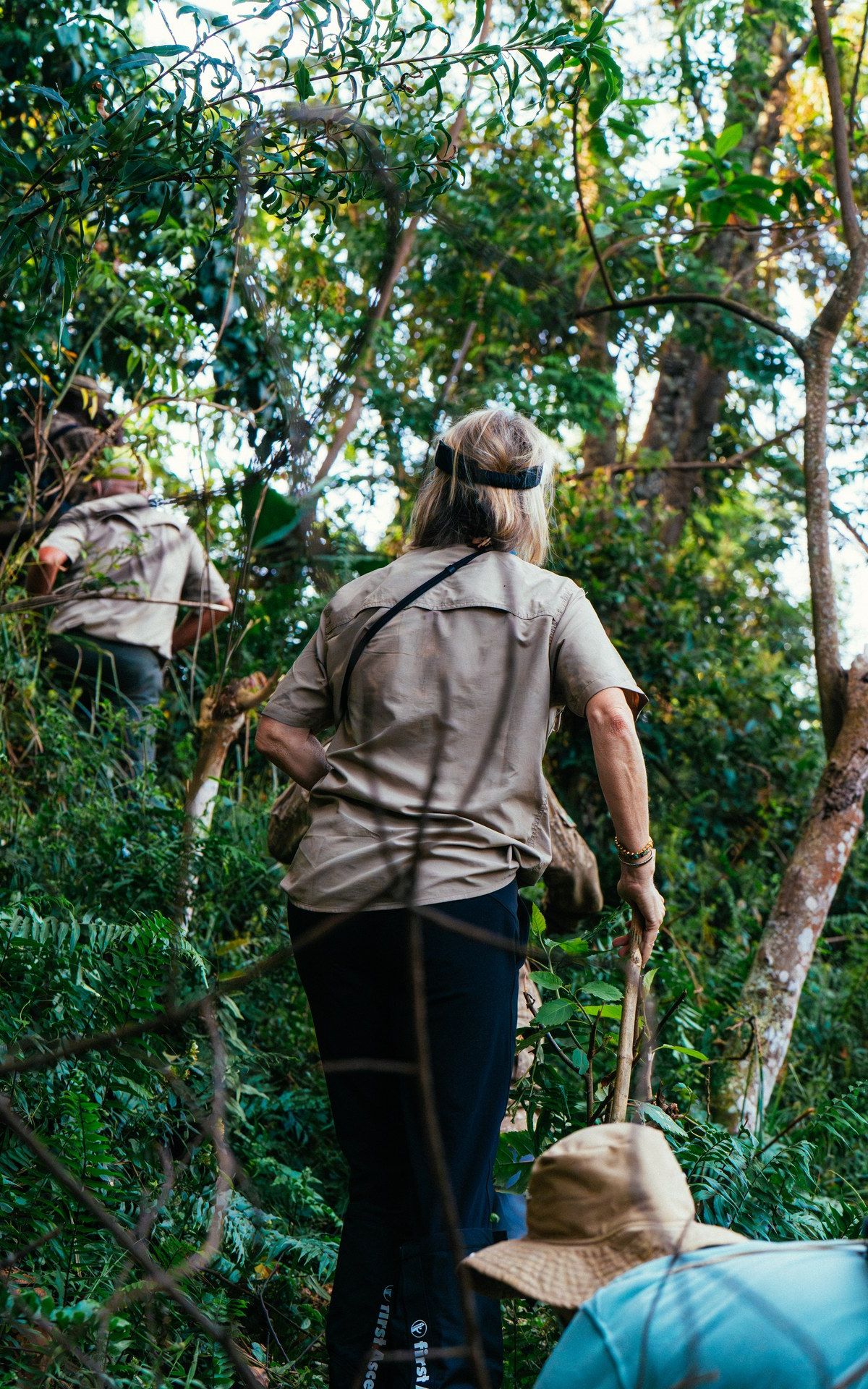 Trekkers moving through dense rainforest in Bwindi Impenetrable National Park — the type of terrain between Kabale and gorilla country, photographed January 2026