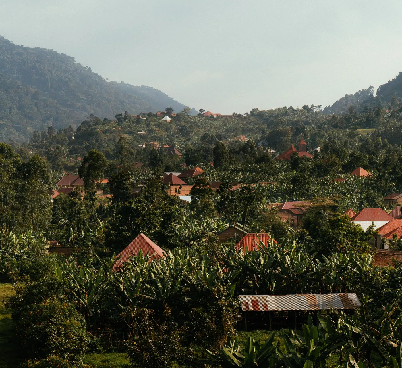 Daily Life in Buhoma