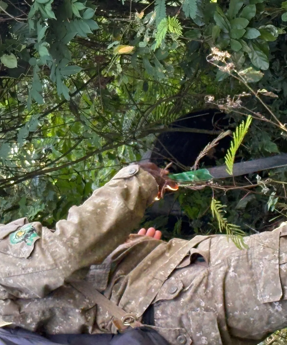 Bewaffneter Ranger bahnt sich Weg durch dichtes Unterholz beim Gorilla Trekking in Uganda
