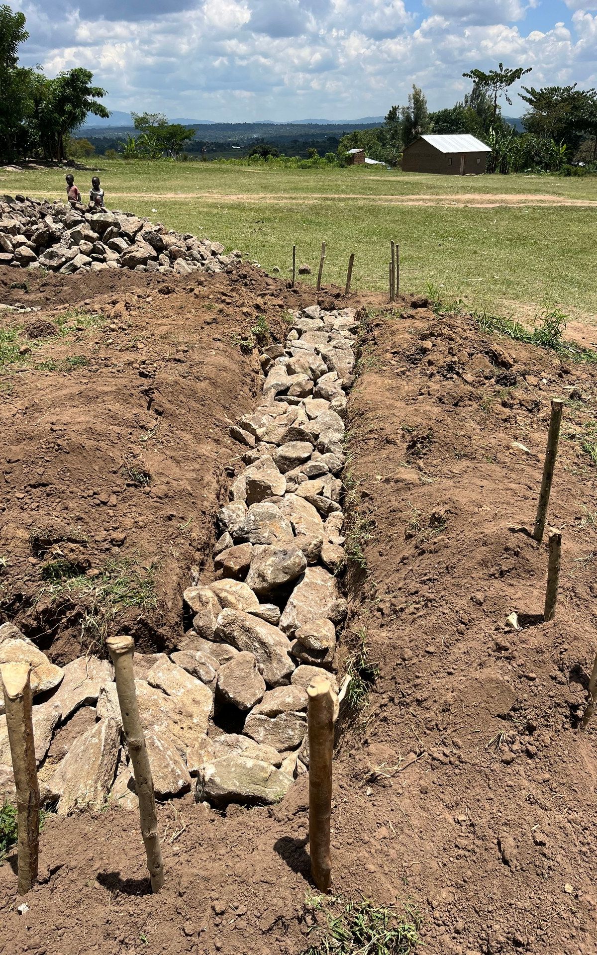 Stone terracing photographed near Butiru, eastern Uganda, October 2024 — by Mark Suer (GPS: approx. 1.0452, 34.1781)