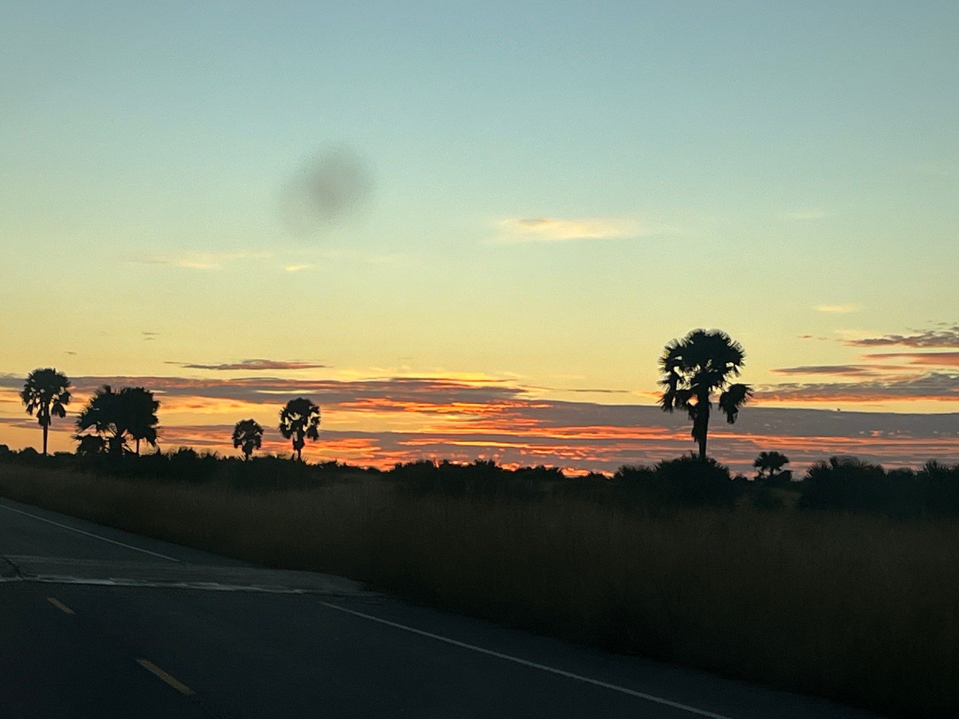 Sunrise over the savannah in Murchison Falls National Park, Uganda, with acacia and palm trees silhouetted against an orange and red sky during an early-morning game drive. Photo: Mark Suer, October 2024.