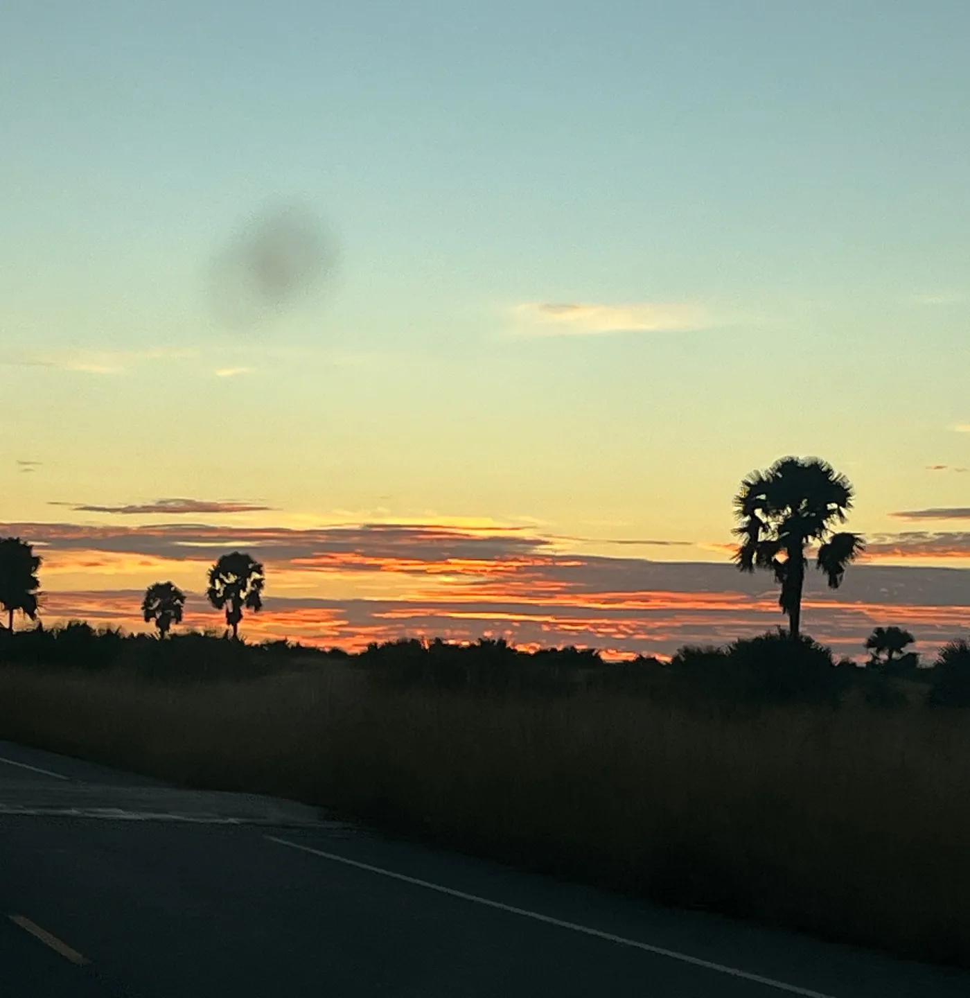 Golden sunrise over the savanna in Murchison Falls National Park — October 2024 game drive, photo by Mark Suer
