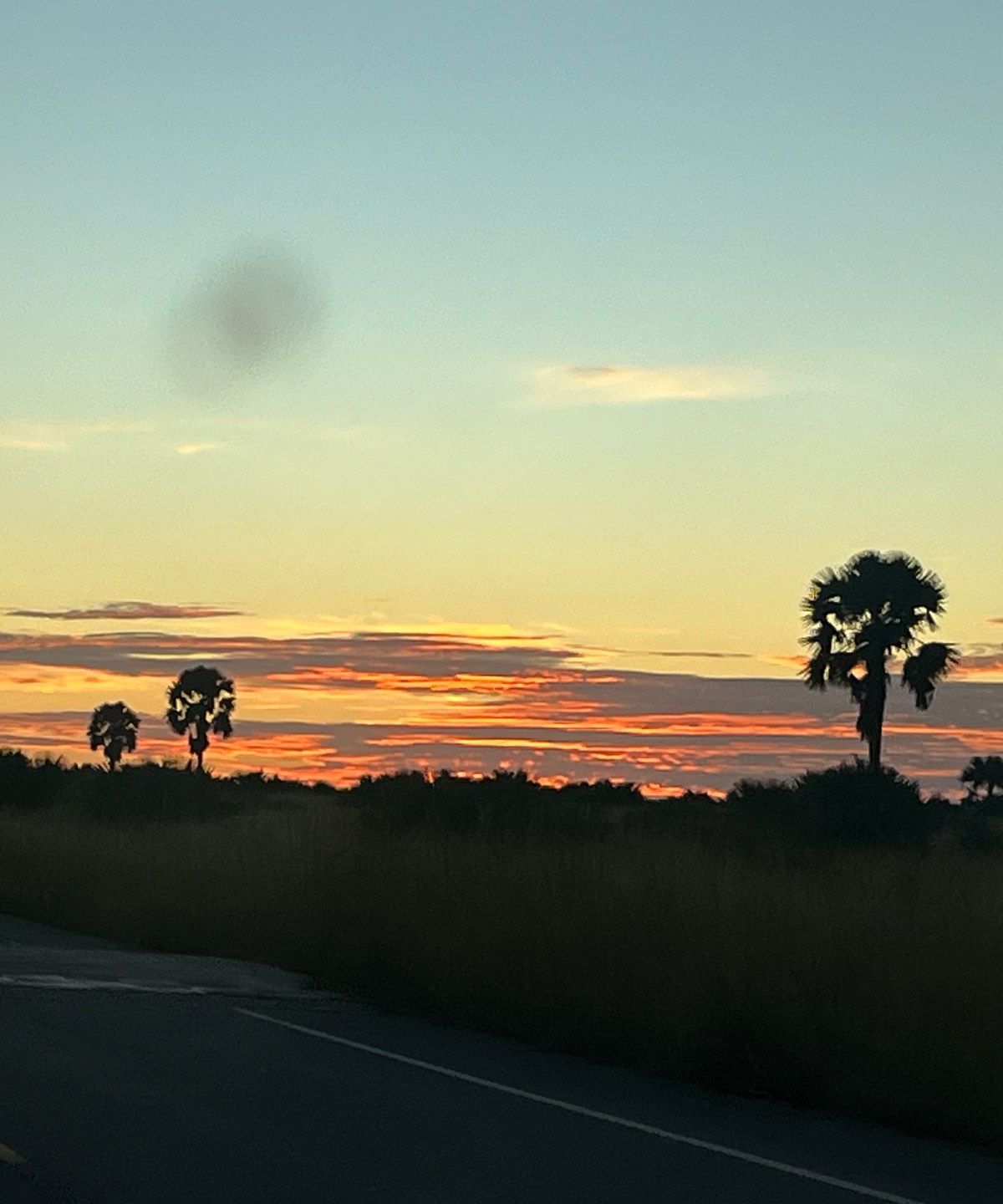 Sunrise over the savanna of Murchison Falls National Park, October 2024 — GPS: 2.3703°N, 31.5493°E. Photo: Mark Suer