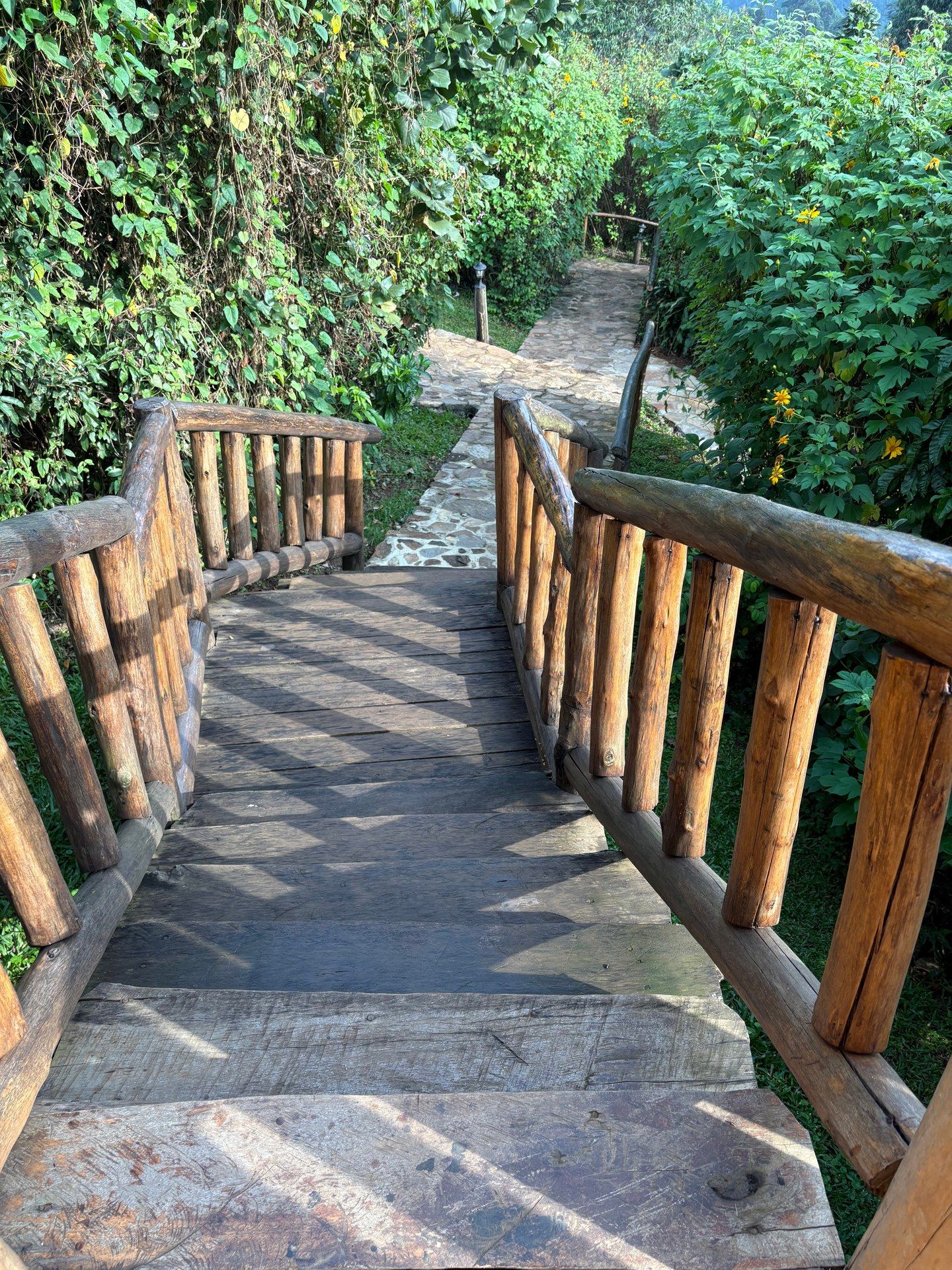 Handcrafted timber stairs connecting a guest room to the main lodge building at Gorilla Bluff Lodge in Buhoma, set into a steep forested hillside. Photo: Mark Suer, January 2026.